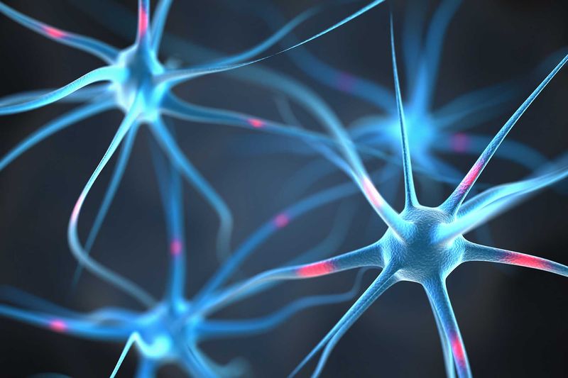 Alzheimer’s Disease (CTAD)