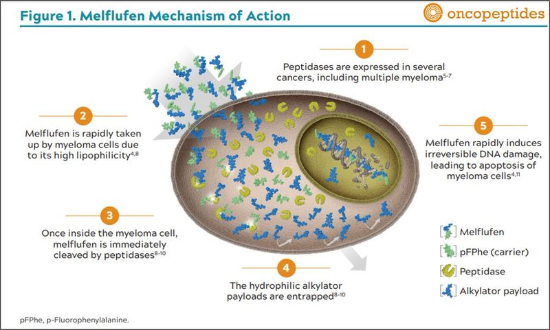 Melflufen(OP-106)