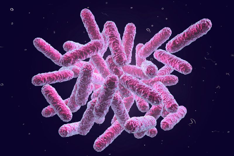 Intra-abdominal Infections