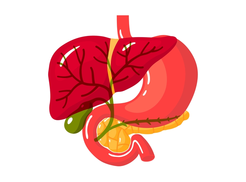 Biliary Tract Cancer