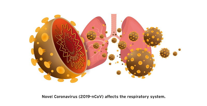 Coronavirus 2019-nCoV