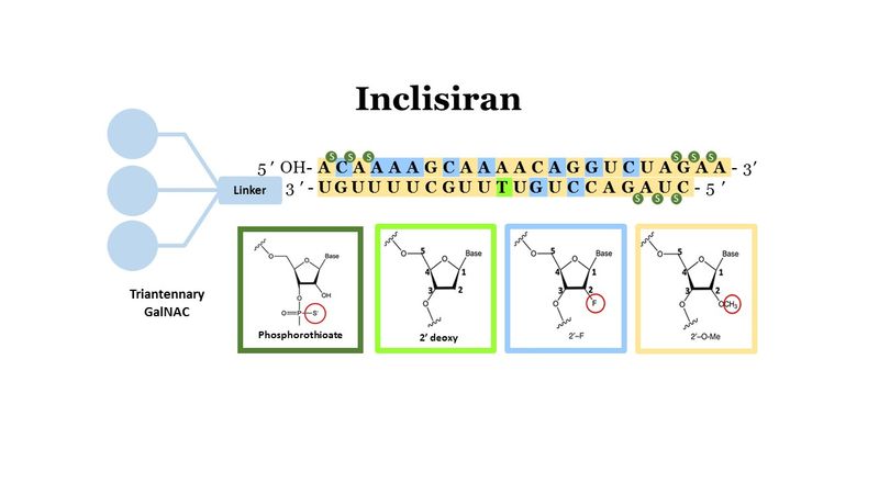 Inclisiran