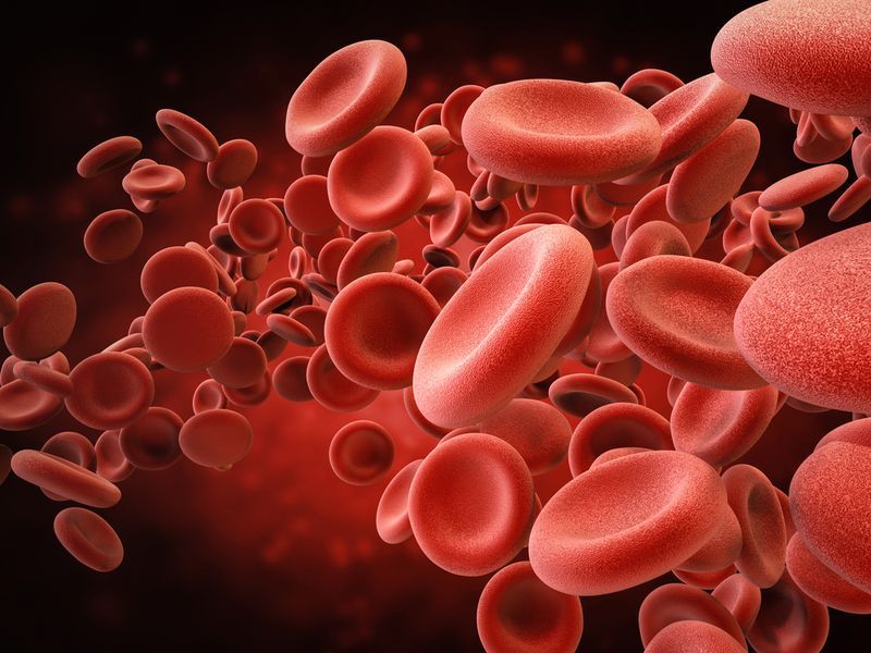 Chronic Lymphocytic Leukemia