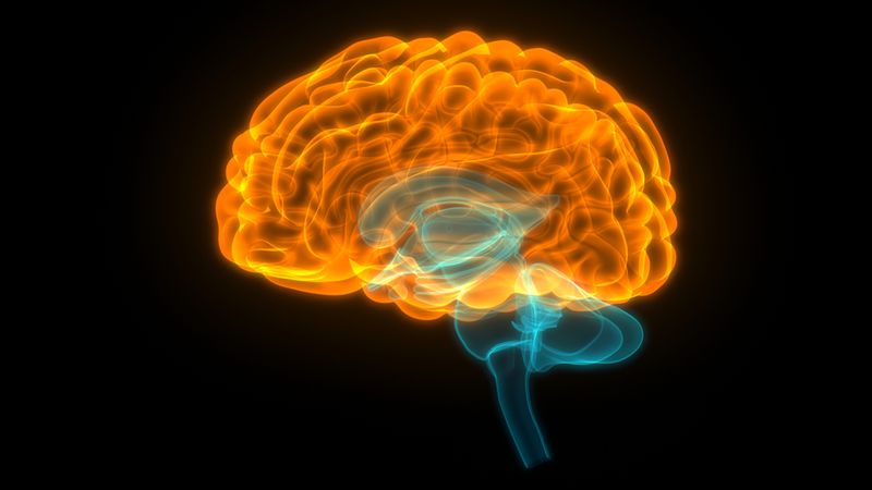 Brain Tumors
