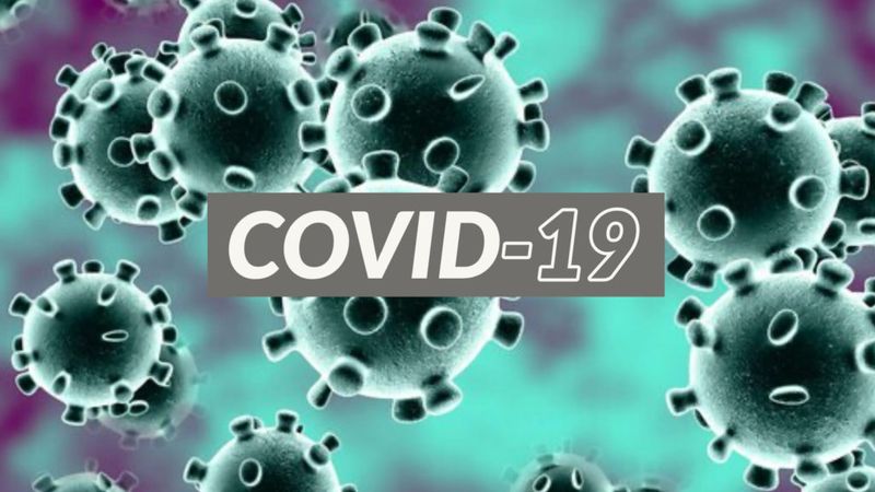 covid-19
