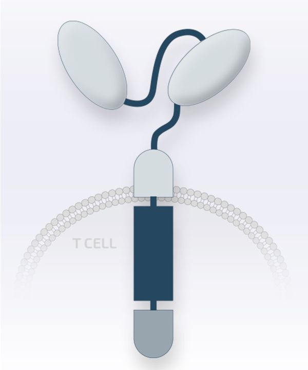 JNJ-4528