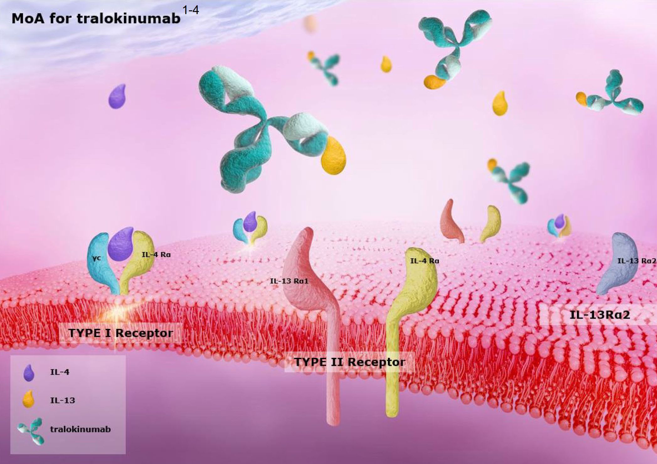 Tralokinumab