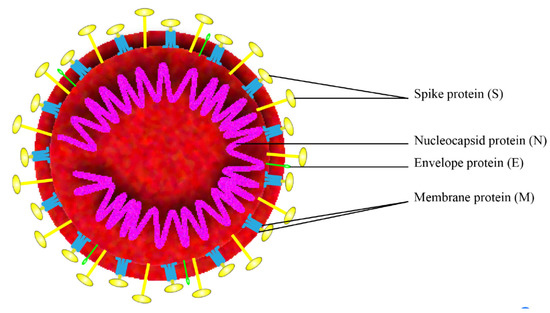 COVID-19 S-Trimer Vaccine