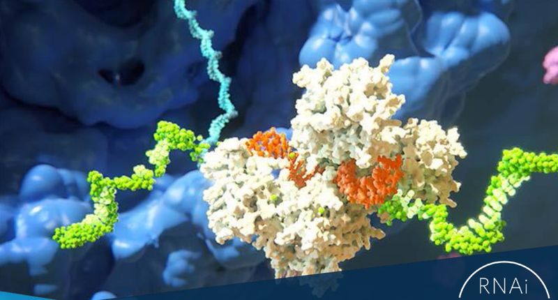 Alnylam Reports Positive Topline Results from HELIOS-A Phase 3 Study of Vutrisiran in Patients with hATTR Amyloidosis with Polyneuropathy