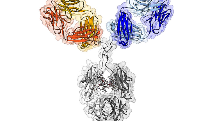 Faricimab