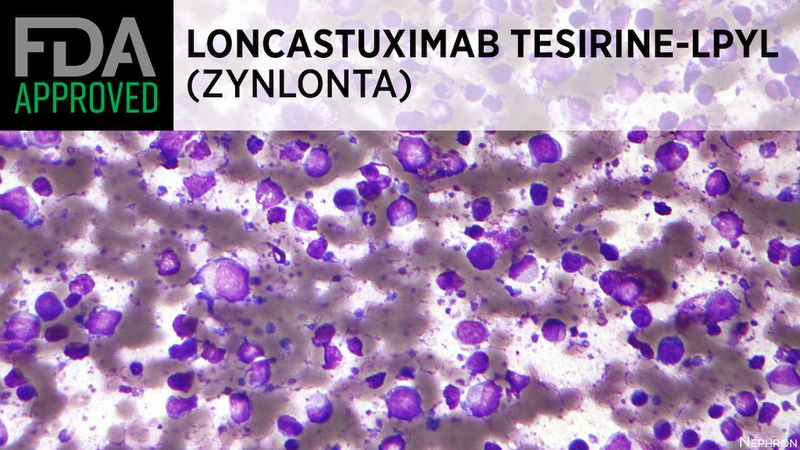 Zynlonta (loncastuximab tesirine-lpyl)