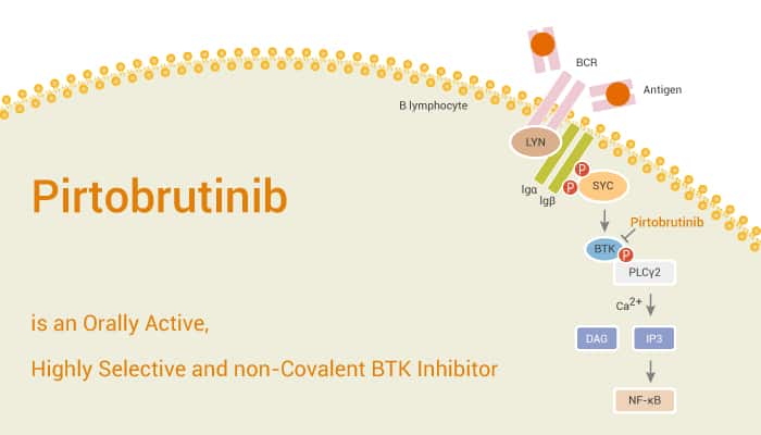 Pirtobrutinib (LOXO-305)