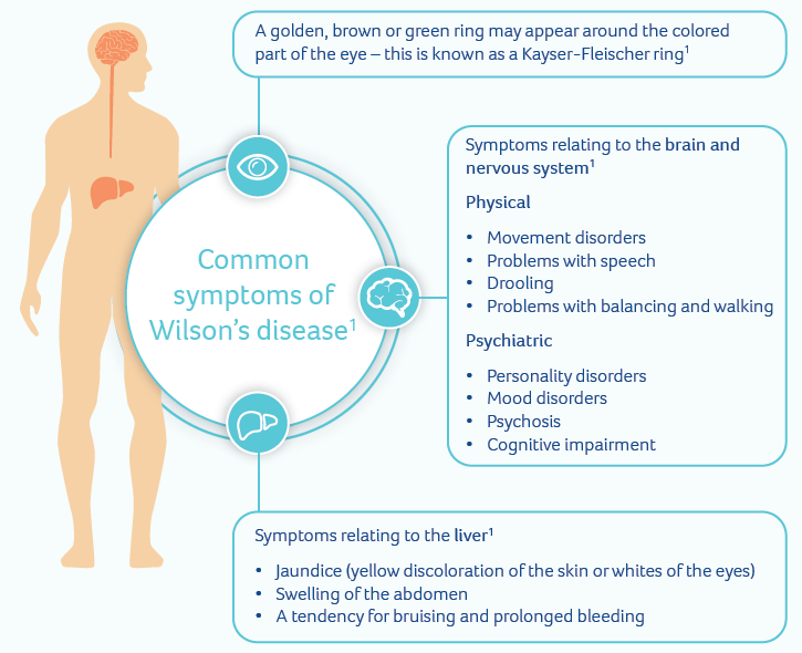 Wilson Disease
