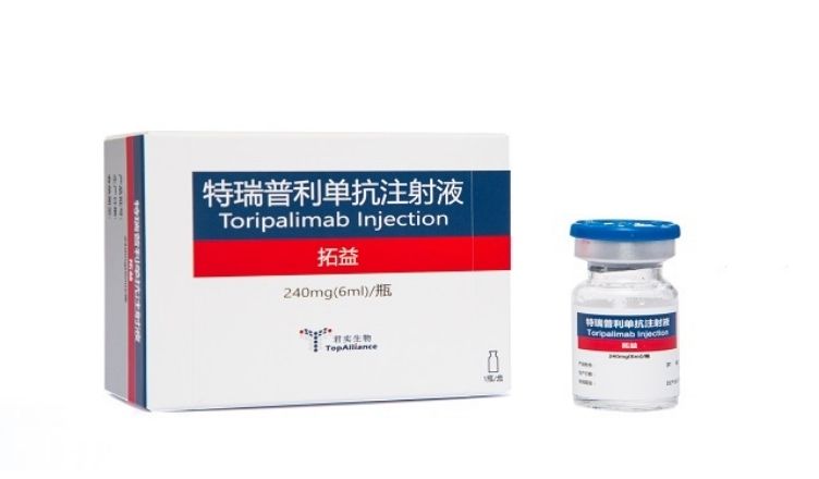 Toripalimab