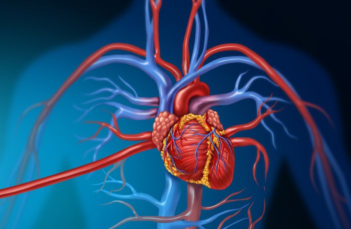 Hypertension and Coronary Artery Disease